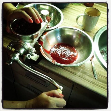 ODŠŤAVŇOVAČ OVOCE S PLÁTÝNKEM